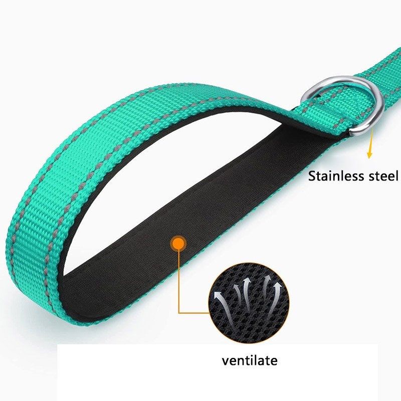 6ft Heavy Duty Reflective Dog Leash with Soft Padded Handle for Safety Training