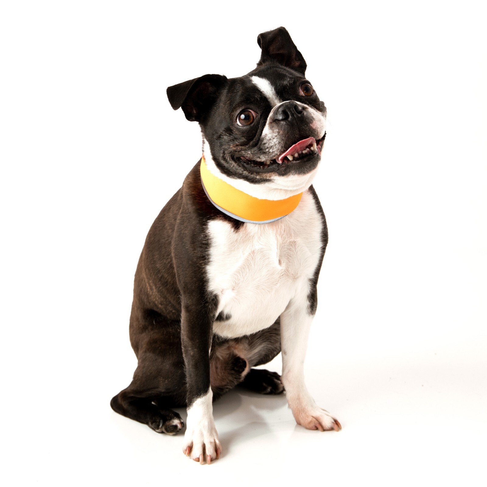 CoolerDog High-Vis Cooling Collar – Reflective Orange