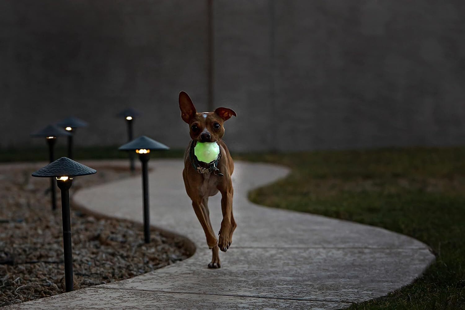 Jolly Pets JJ03 GLOW 3″ Jumper Pet Toy Balls, Small Small, Glow in the Dark
