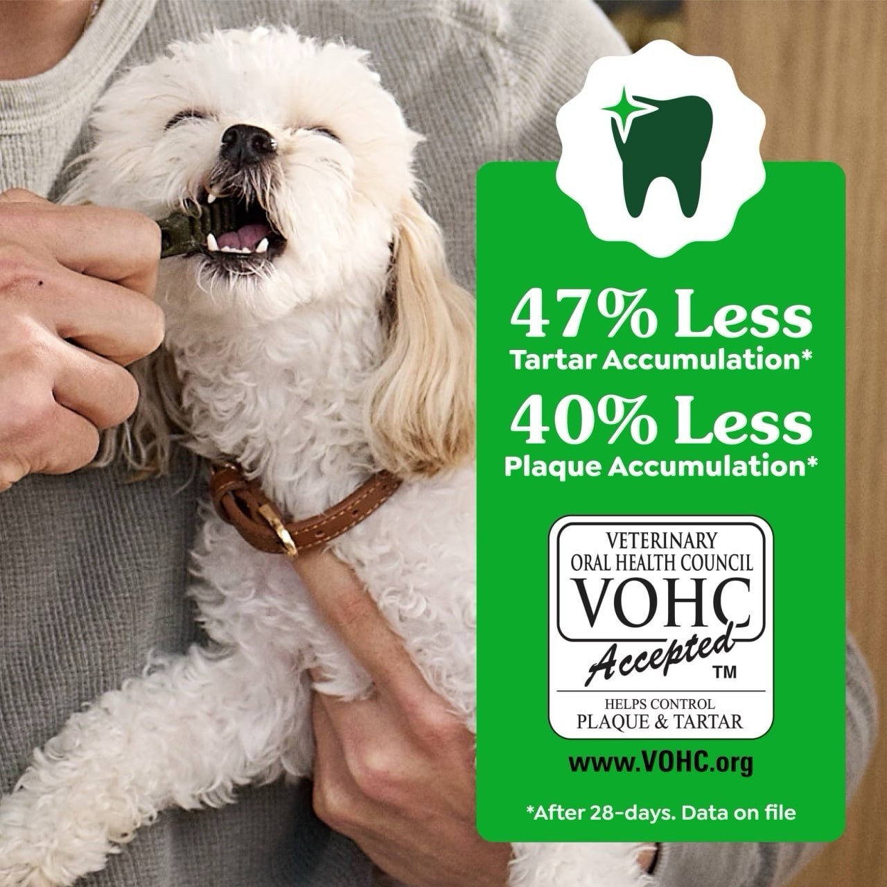 Greenies Vet-Recommended Natural Dental Dog Treats, Regular Size, 36 oz