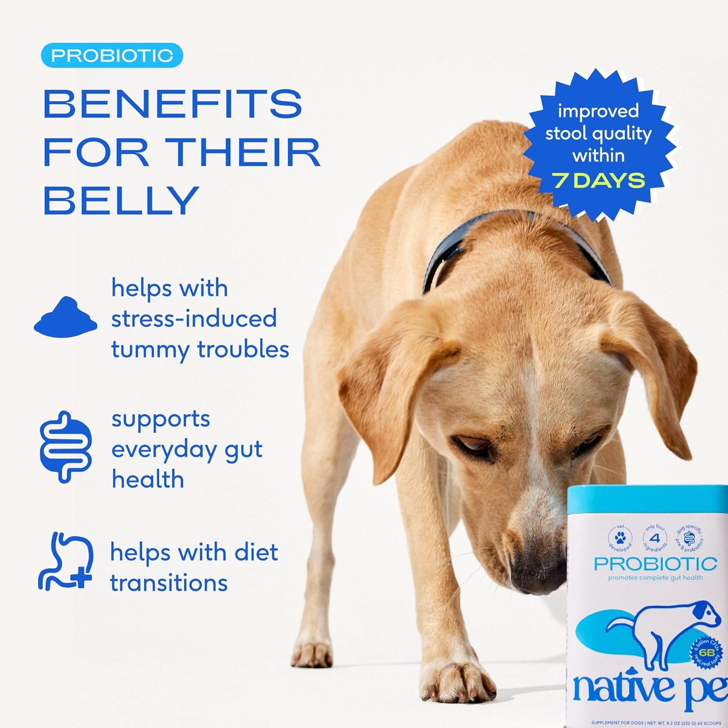 (2 PACK) Native Pet Probiotics for Dogs – EXPIRES 12/2026 – NEW SEALED