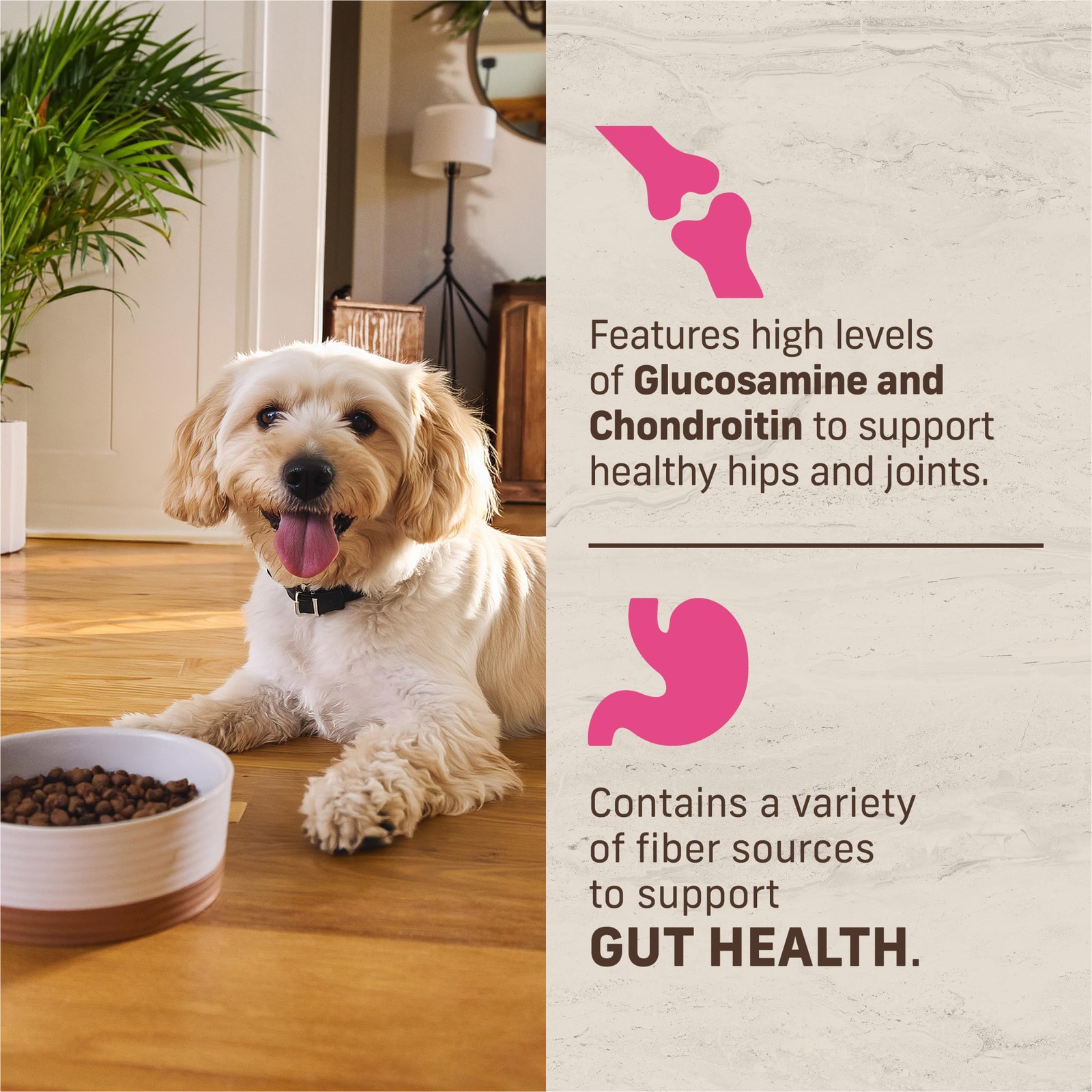 Merrick Healthy Grains Premium Dry Dog Food For Small 4 Pound (Pack of 1), –