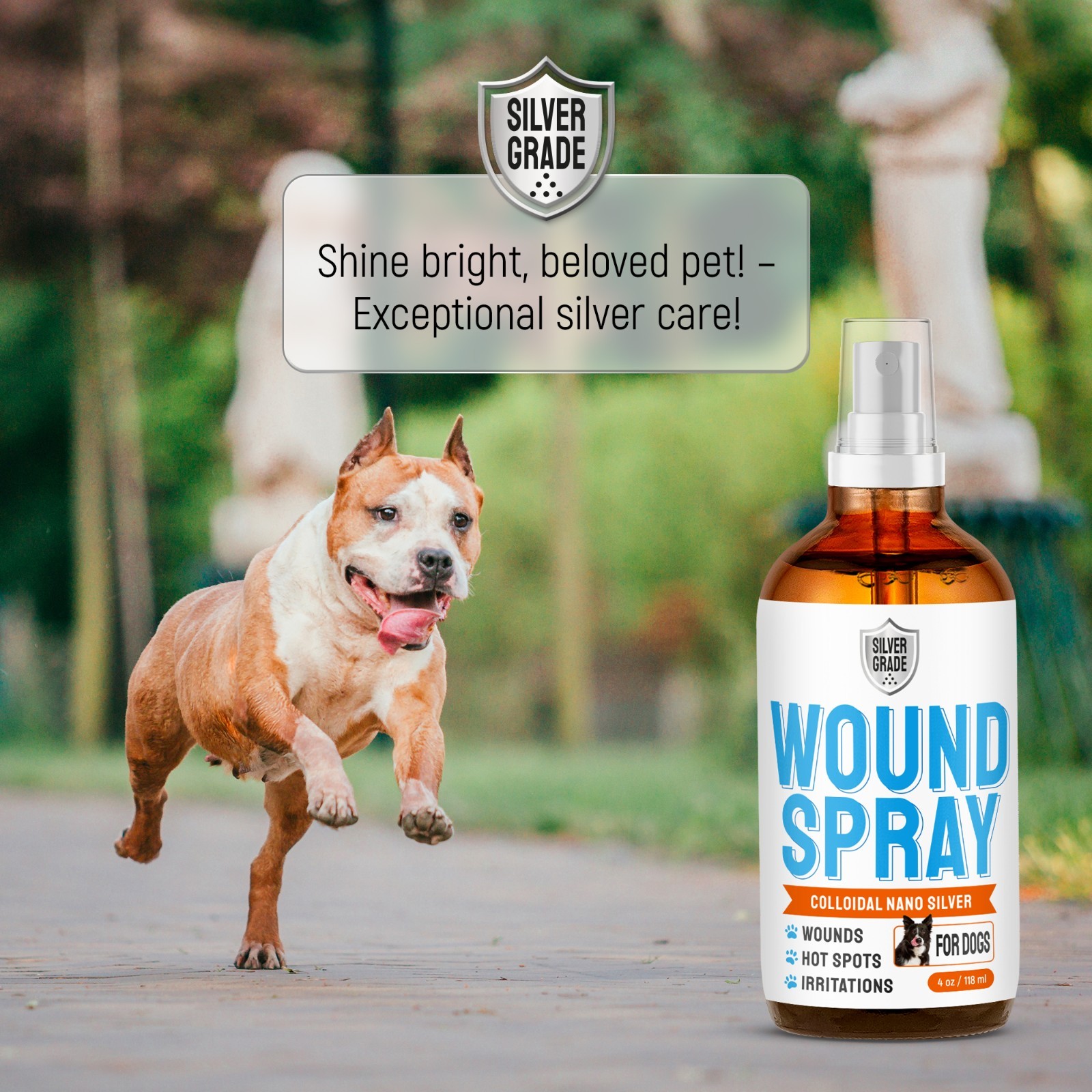 Silver Wound Spray for Dogs & Puppies – Skin Care for Hot Spots, Itch & Rashes