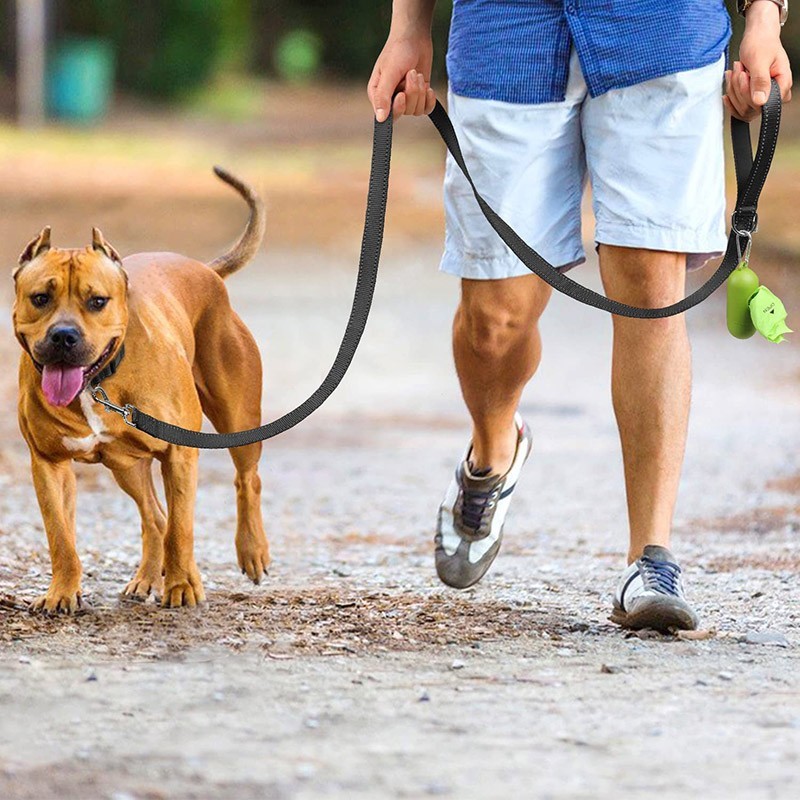 6ft Heavy Duty Reflective Dog Leash with Soft Padded Handle for Safety Training