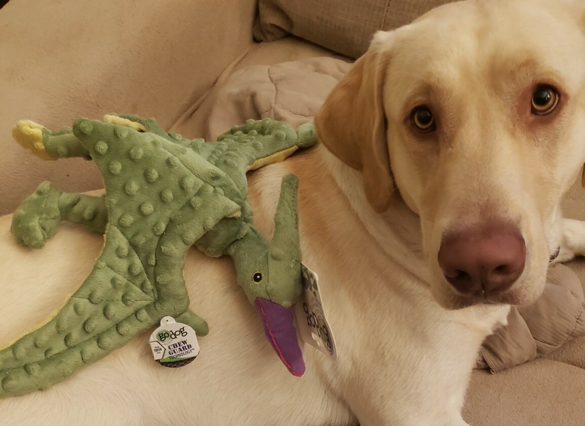 GoDog Terry the Terradactyl Toy Size (Large)