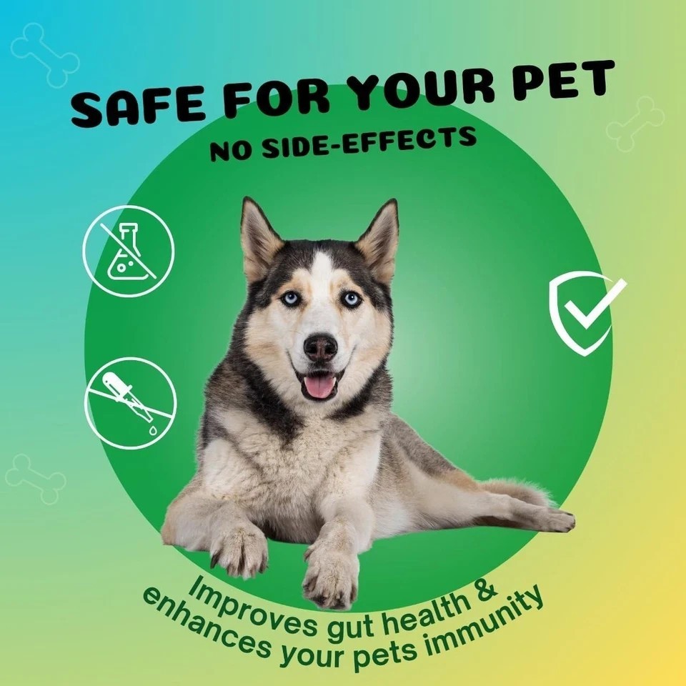 Medfly Healthcare Defender Pro Dewormer 10 Tabs For Dogs of All Life Stages