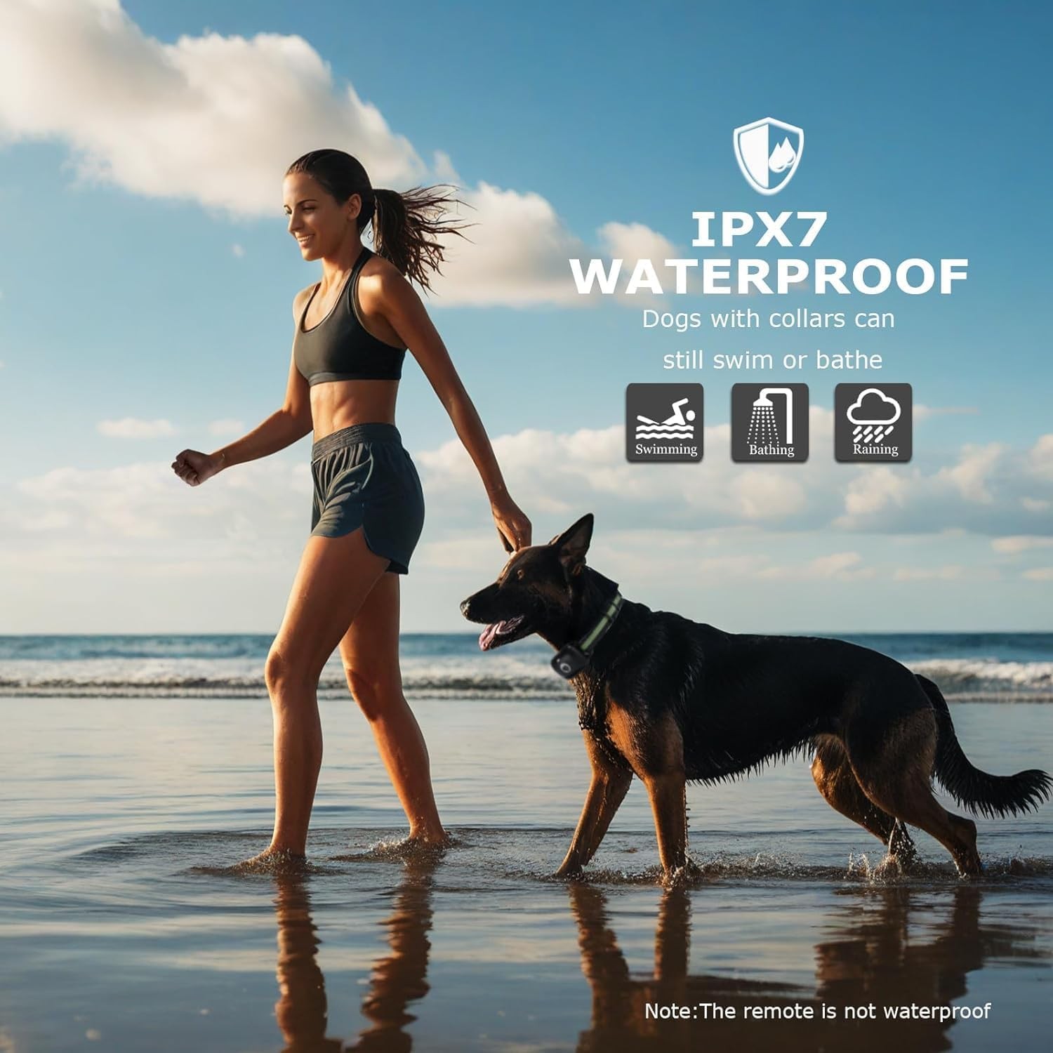 2600 FT Remote Dog Shock Training Collar Remote E-Collar Waterproof Pet Trainer