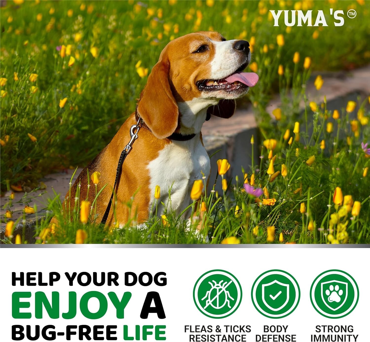 100% Natural Flea and Tick Prevention Chewable Pills for All Dogs, Made In USA