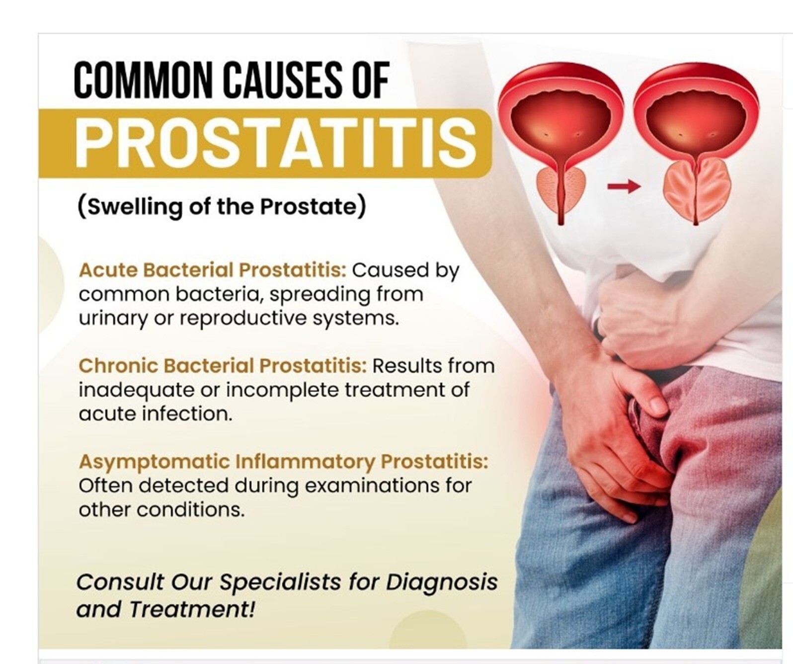 NATURAL HERBS TO IMPROVE PROSTATITIS PAIN FOR MEN ALPHA – 120 CAPS – MADE IN USA