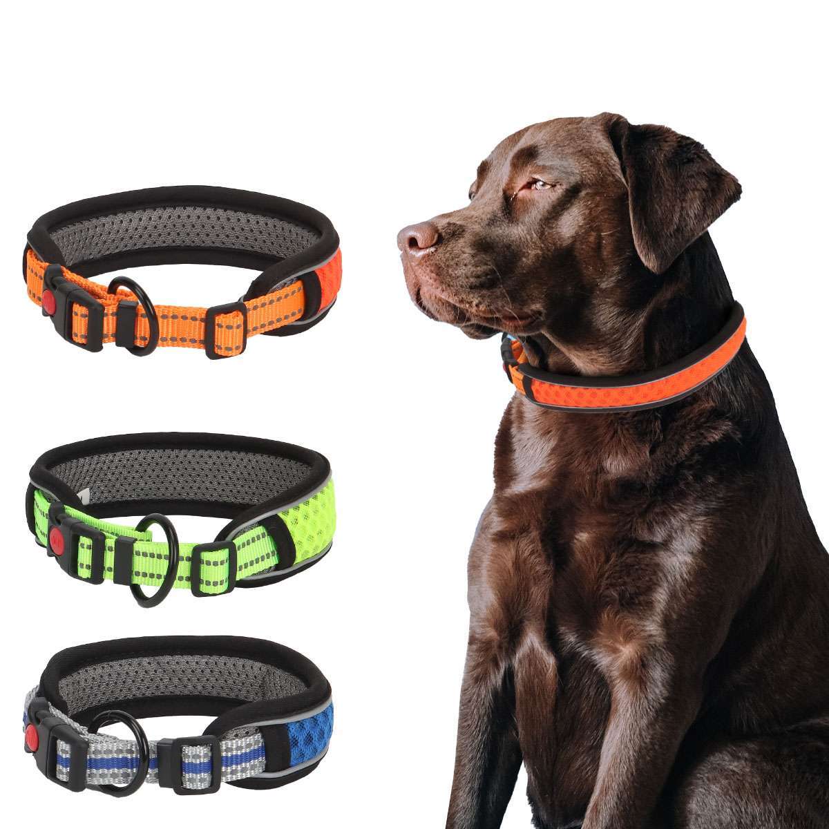 Dog Pet Adjustable Nylon Collar padded Reflective Small Medium Large With Buckle