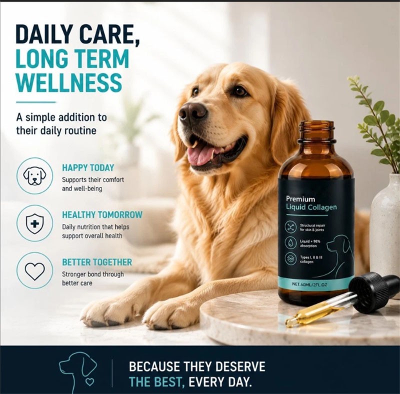 3 Pack Healthy Petz Premium Liquid Collagen For Dogs, Supplement With Collagen