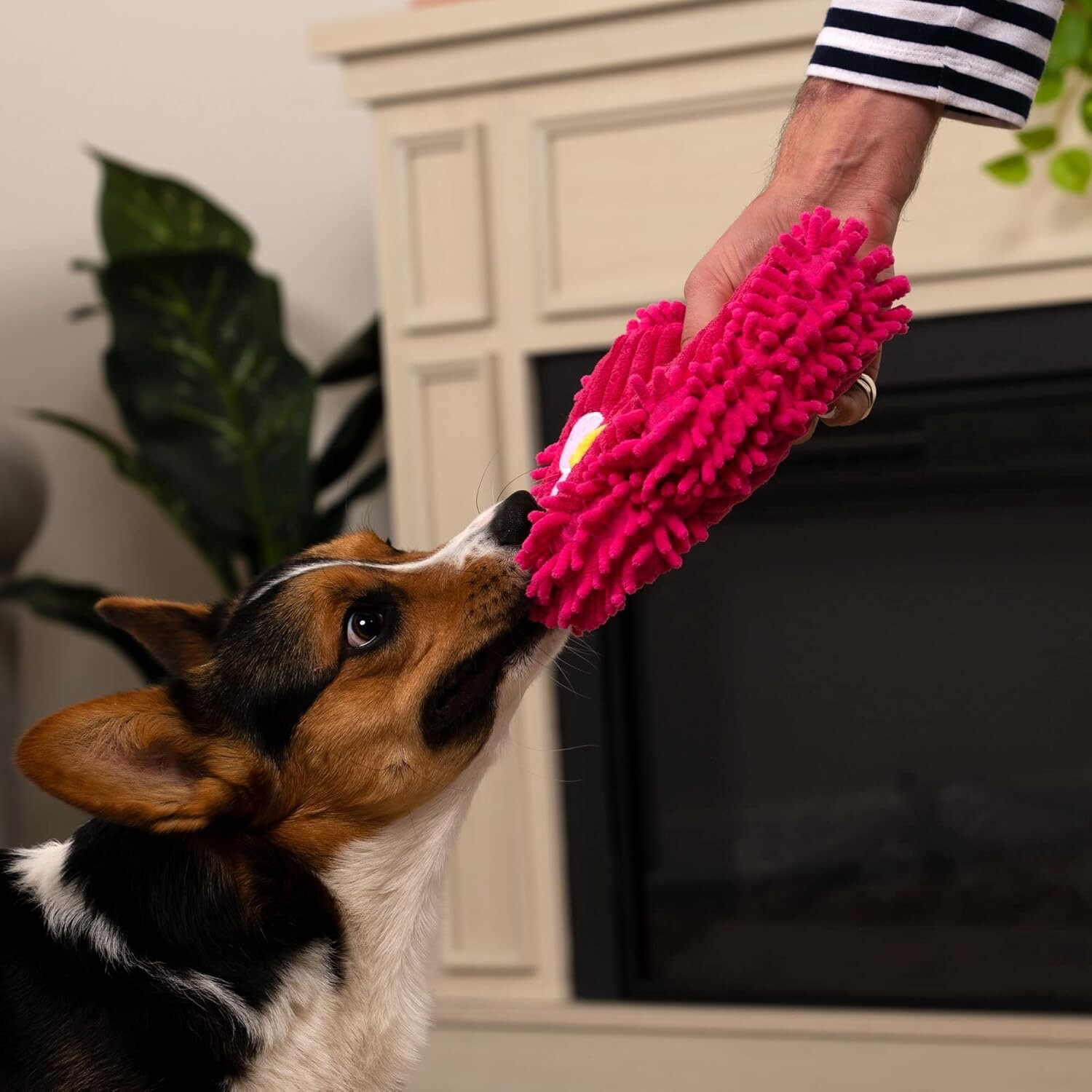 goDog PlayClean Germs Squeaky Plush Dog Toy with Odor-Eliminating Essential Oils