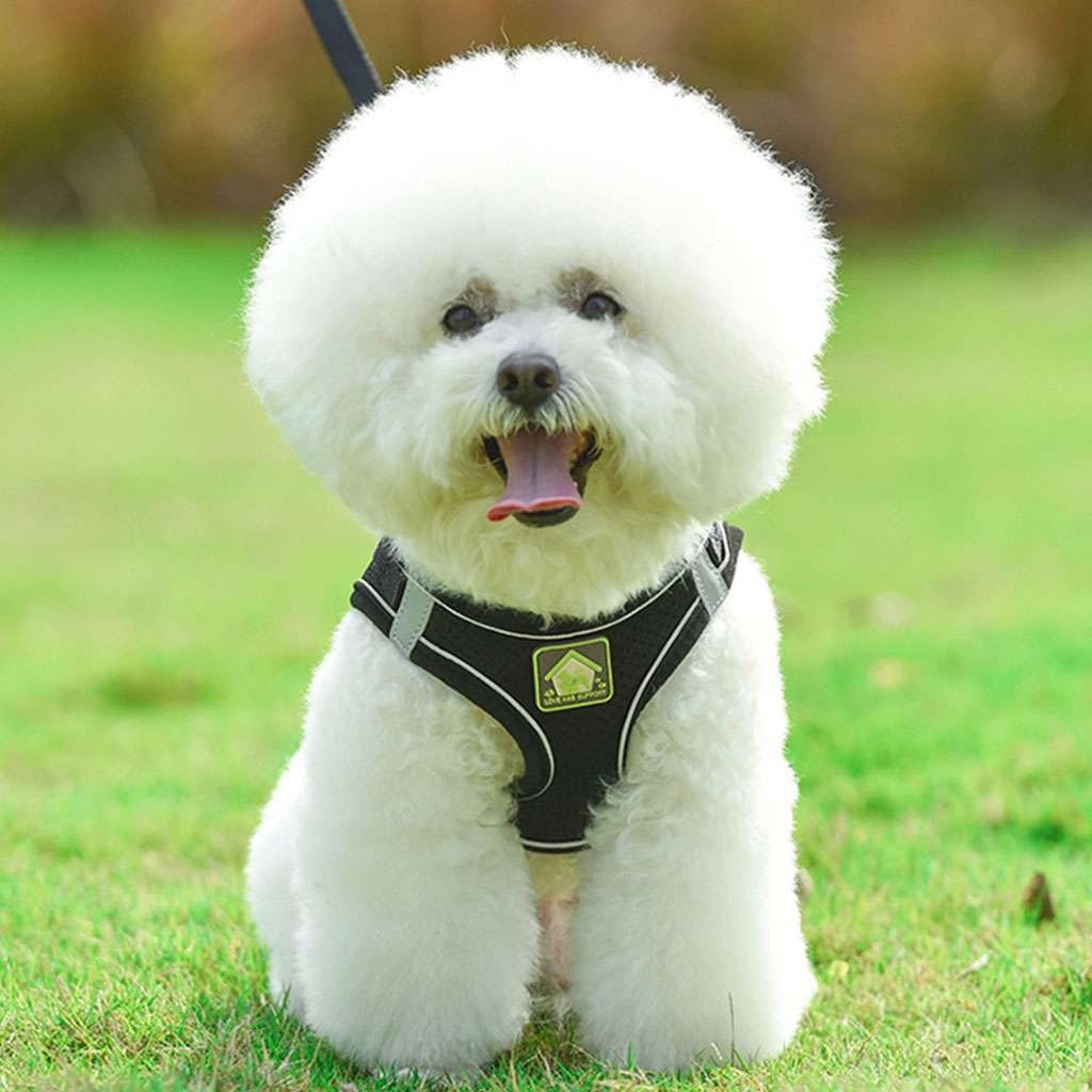 Adjustable Control No Pull Dog Pet Harness Vest Dogs Reflective XS S M Large XL