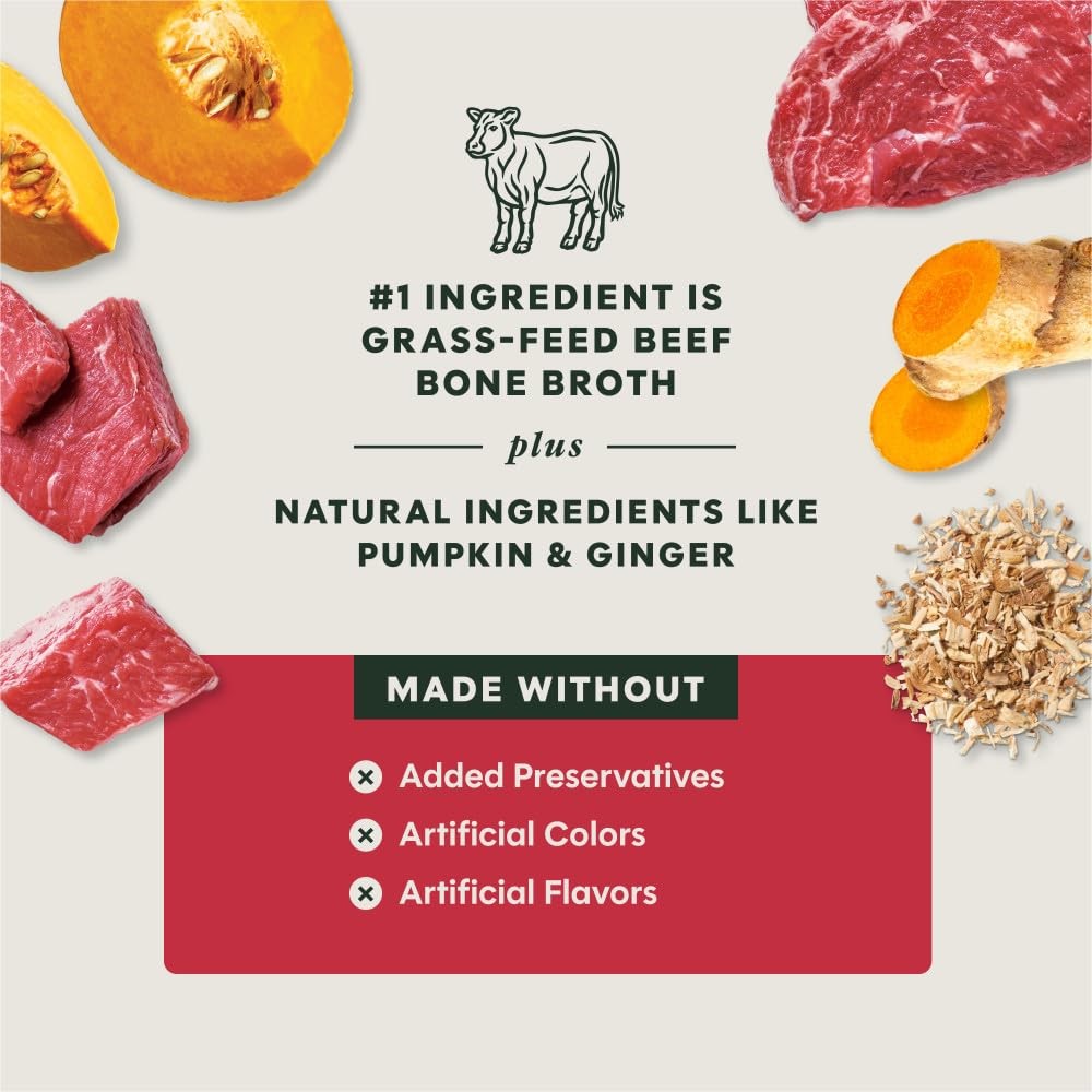 Instinct Bone Broth, Meal Topper for Dogs, Human 16 Fl Oz (Pack of 1), Silver