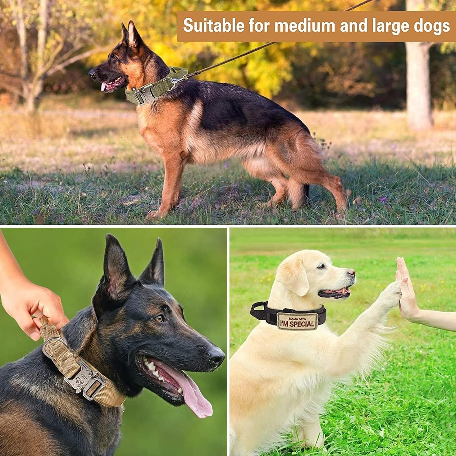 Tactical Dog Collar w/ Handle +Leash Heavy Duty Military Service Canine Training