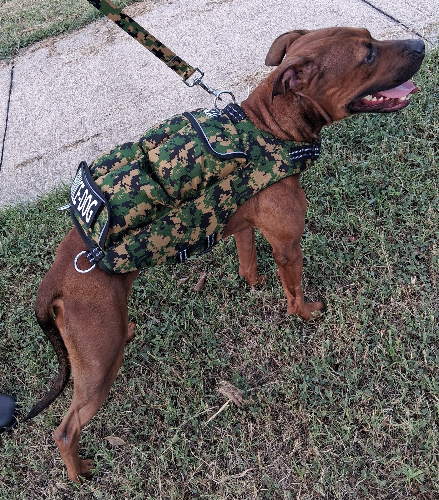 CWS Weighted Dog Vest + Flotation Vest-Medium 12 Pounds Sandbags Only No Sand!!