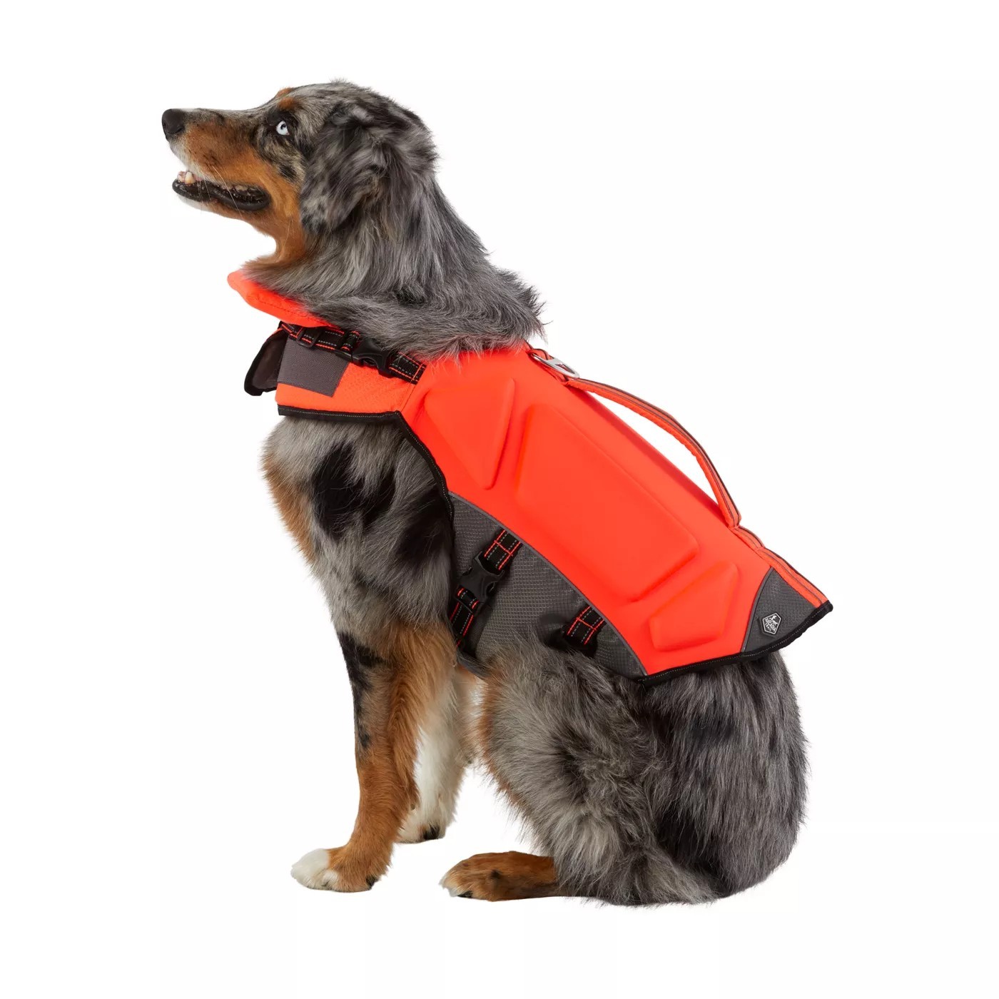 Arcadia Trail™ High Visibility Dog Life Jacket Medium