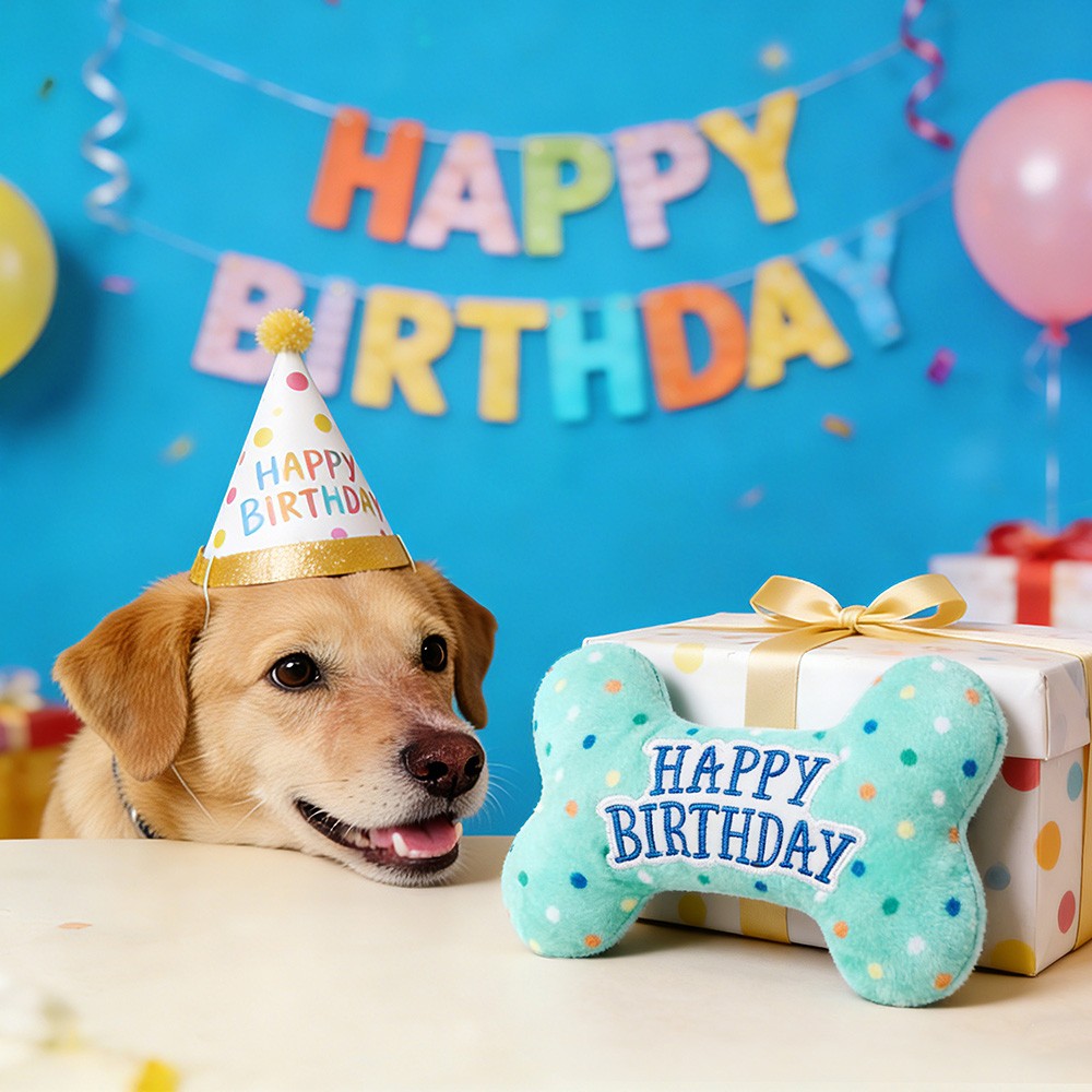 Dog Birthday Toys Plush Dog Squeaky Toys Stuffed Puppy Chew Toy Bone Pet Toy