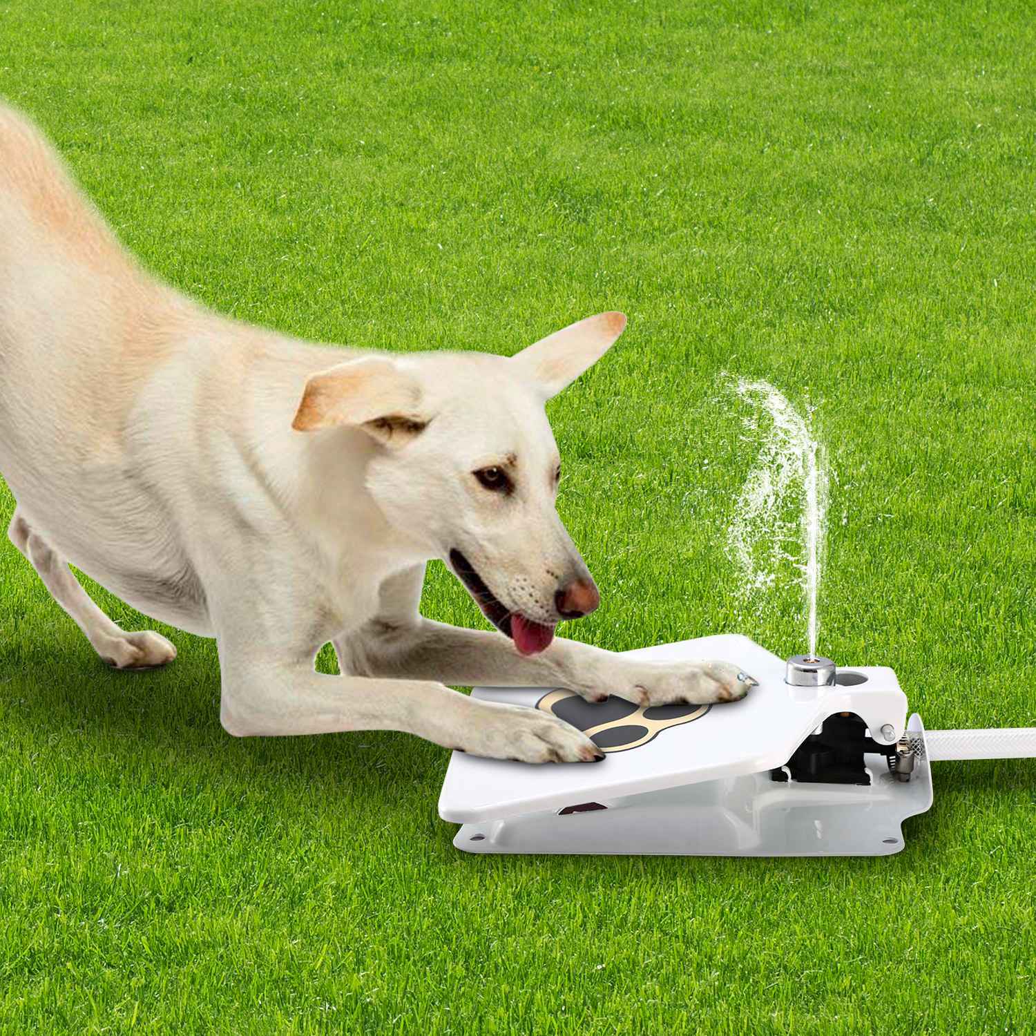 Outdoor Dog Pet Water Fountain Step-on Brass Valve Dispenser System Sprinkler
