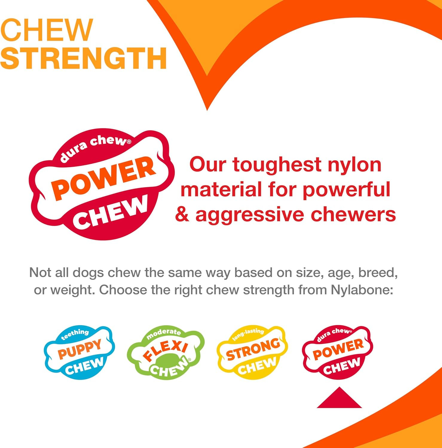 Nylabone Textured Ring Power Chew Toy for Dogs, Dog Toys for Aggressive Chewers,