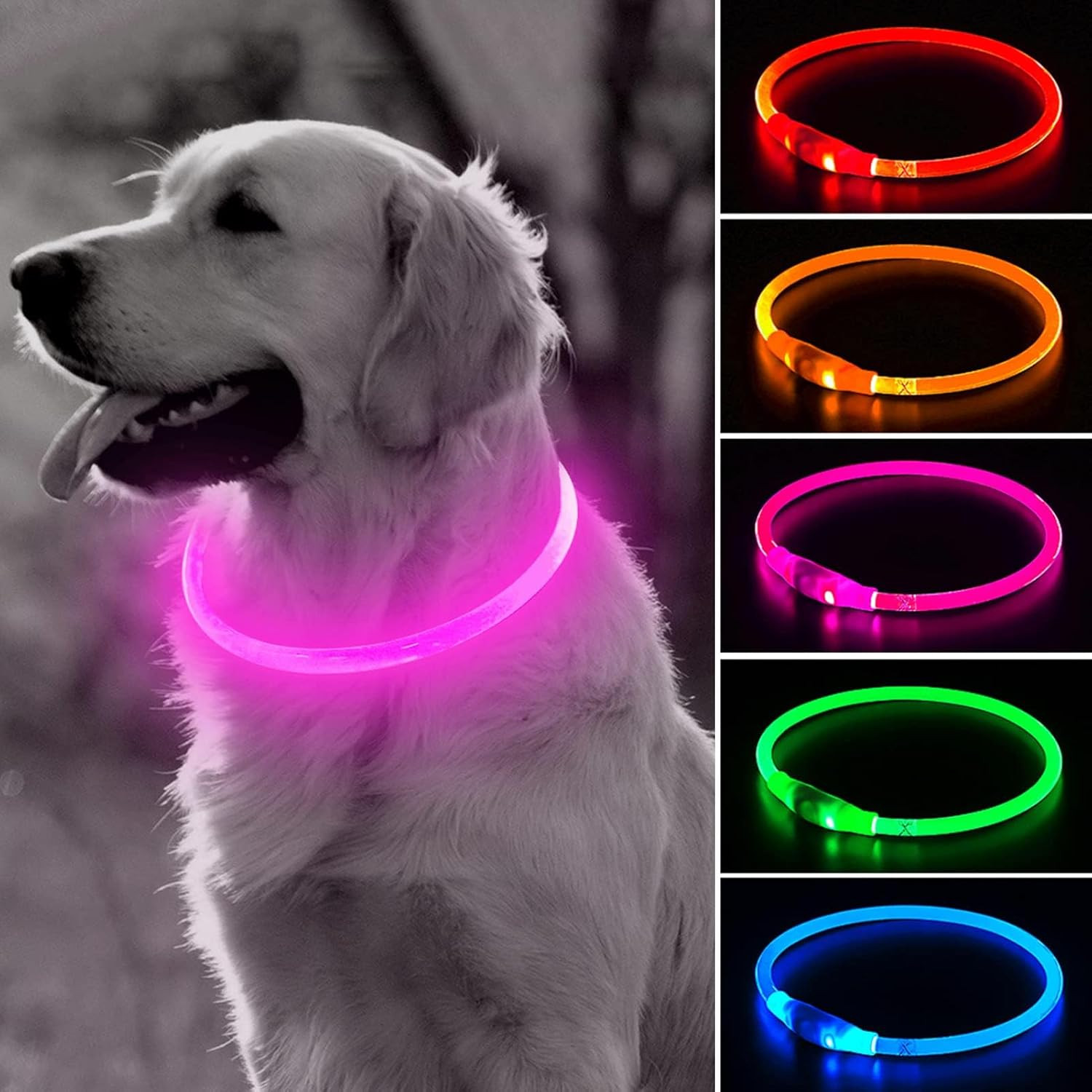 Rechargeable LED Dog Collar – Waterproof Lighted Safety Collar for Night Walks