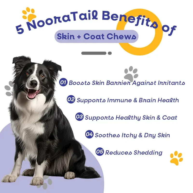 Noora Dog Skin & Coat Supplement for Shiny Coat Healthy Skin Omega Chews