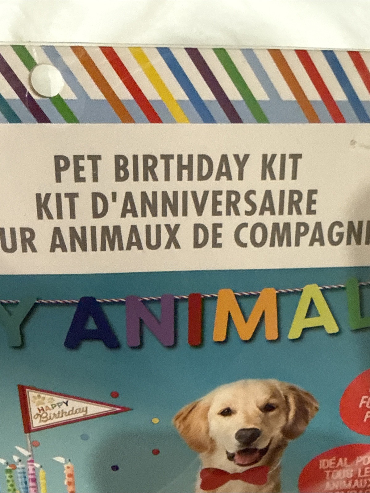 Pet Birthday Kit For Dogs And Cats Pawty Animal